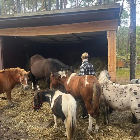 Hotel Kawena Danzica