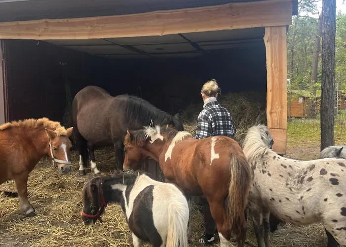 Отель Kawena Гданьск